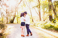 Amber + Aaron :: Engagement